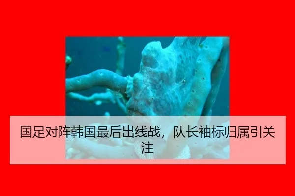 国足对阵韩国最后出线战，队长袖标归属引关注